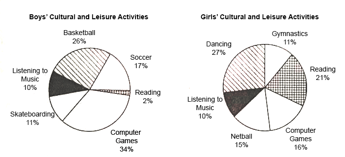 Pie charts comparing how girls and boys spend their leisure time.