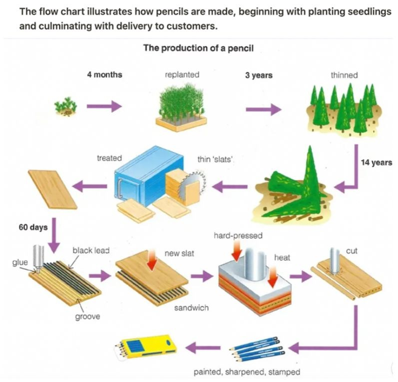 Diagram showing the process of how pencils are manufactured.